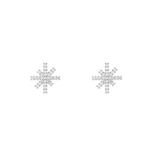 Daniel Wellington Mirelle Star Earring Silver
