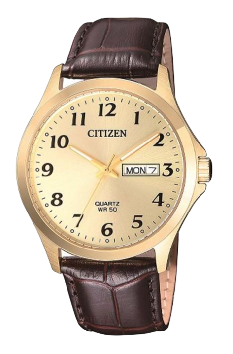 Citizen BF5002-05P Gold/Brown